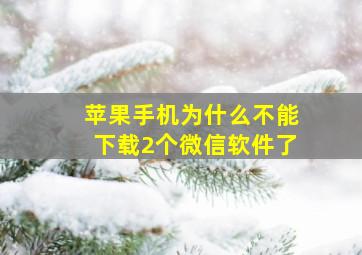 苹果手机为什么不能下载2个微信软件了