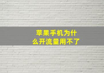 苹果手机为什么开流量用不了