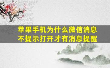 苹果手机为什么微信消息不提示打开才有消息提醒