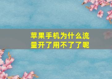 苹果手机为什么流量开了用不了了呢