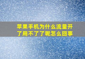 苹果手机为什么流量开了用不了了呢怎么回事