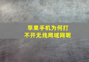 苹果手机为何打不开无线局域网呢