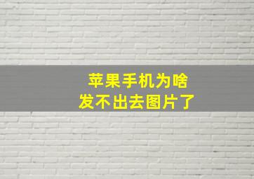 苹果手机为啥发不出去图片了