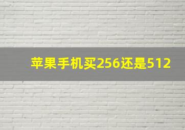 苹果手机买256还是512