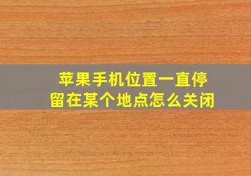 苹果手机位置一直停留在某个地点怎么关闭