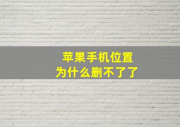 苹果手机位置为什么删不了了