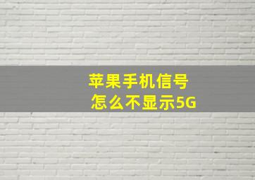 苹果手机信号怎么不显示5G