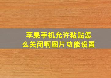 苹果手机允许粘贴怎么关闭啊图片功能设置