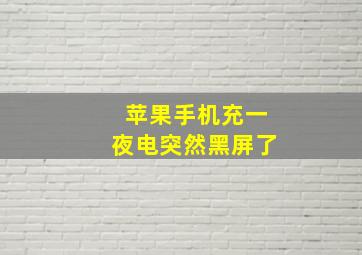 苹果手机充一夜电突然黑屏了