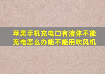 苹果手机充电口有液体不能充电怎么办能不能用吹风机