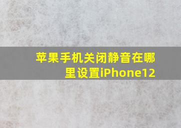 苹果手机关闭静音在哪里设置iPhone12