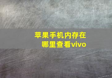 苹果手机内存在哪里查看vivo