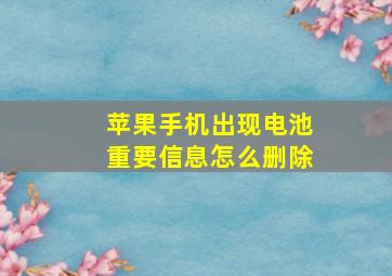 苹果手机出现电池重要信息怎么删除