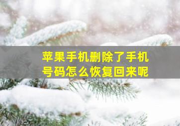 苹果手机删除了手机号码怎么恢复回来呢