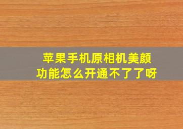 苹果手机原相机美颜功能怎么开通不了了呀