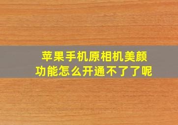 苹果手机原相机美颜功能怎么开通不了了呢