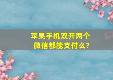 苹果手机双开两个微信都能支付么?