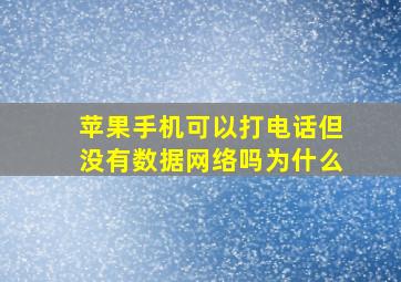 苹果手机可以打电话但没有数据网络吗为什么