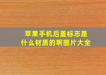 苹果手机后盖标志是什么材质的啊图片大全