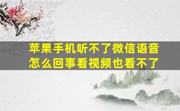 苹果手机听不了微信语音怎么回事看视频也看不了