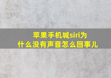 苹果手机喊siri为什么没有声音怎么回事儿