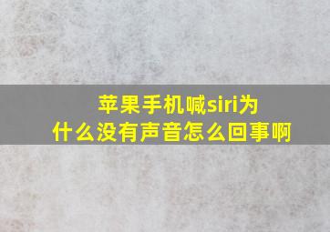 苹果手机喊siri为什么没有声音怎么回事啊