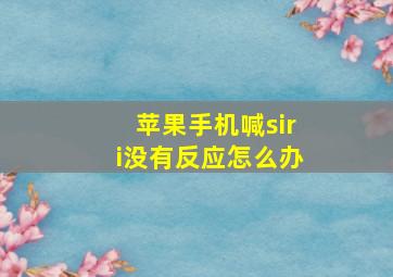 苹果手机喊siri没有反应怎么办