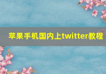 苹果手机国内上twitter教程