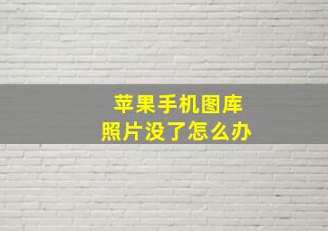 苹果手机图库照片没了怎么办