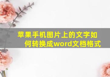 苹果手机图片上的文字如何转换成word文档格式