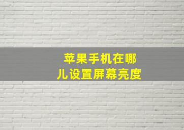 苹果手机在哪儿设置屏幕亮度