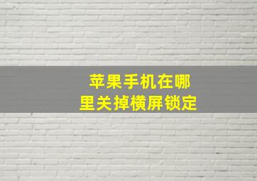 苹果手机在哪里关掉横屏锁定