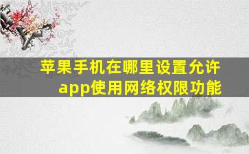 苹果手机在哪里设置允许app使用网络权限功能