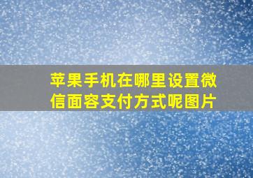 苹果手机在哪里设置微信面容支付方式呢图片