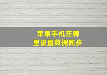 苹果手机在哪里设置数据同步