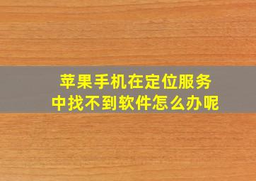 苹果手机在定位服务中找不到软件怎么办呢