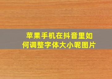 苹果手机在抖音里如何调整字体大小呢图片