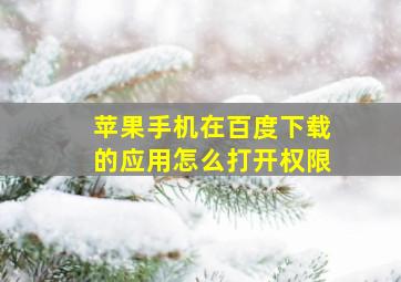 苹果手机在百度下载的应用怎么打开权限