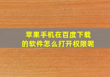 苹果手机在百度下载的软件怎么打开权限呢