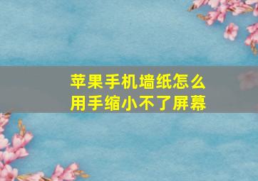 苹果手机墙纸怎么用手缩小不了屏幕