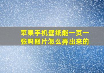 苹果手机壁纸能一页一张吗图片怎么弄出来的