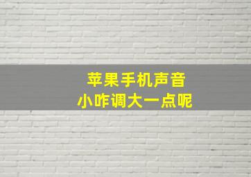 苹果手机声音小咋调大一点呢