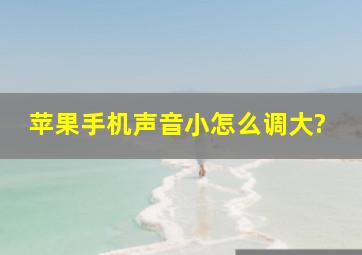 苹果手机声音小怎么调大?