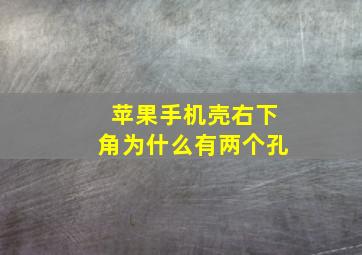 苹果手机壳右下角为什么有两个孔