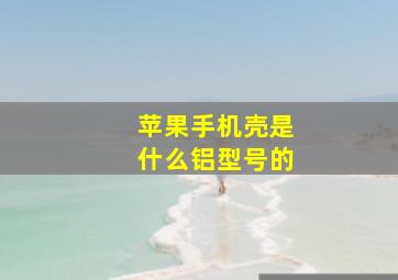 苹果手机壳是什么铝型号的