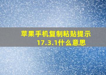 苹果手机复制粘贴提示17.3.1什么意思