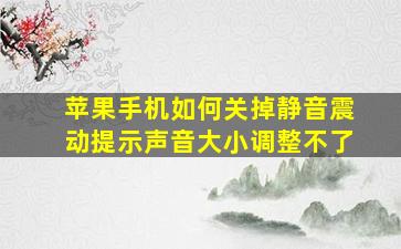 苹果手机如何关掉静音震动提示声音大小调整不了