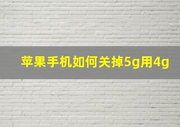 苹果手机如何关掉5g用4g