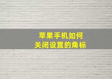 苹果手机如何关闭设置的角标