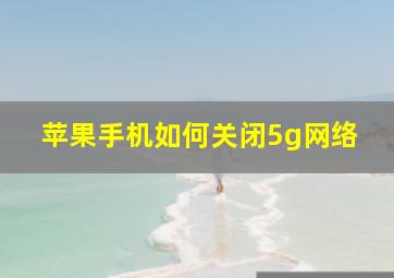 苹果手机如何关闭5g网络